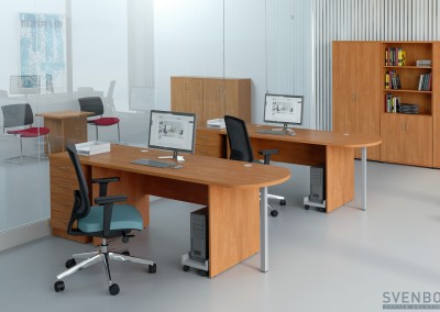 SVENBOX CLASSIC EKO C