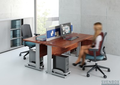 SVENBOX CLASSIC VIK C